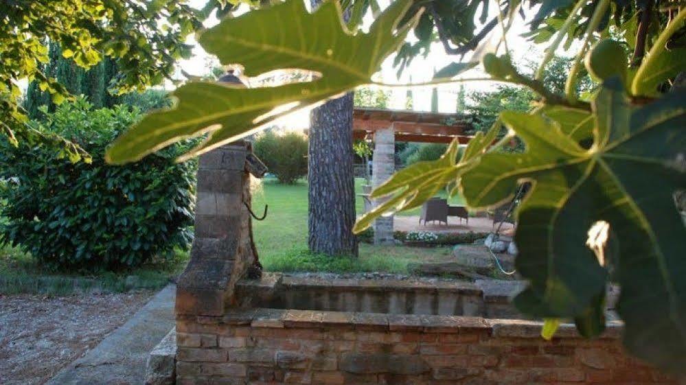 הוילה דרוטה Pieve Del Castello מראה חיצוני תמונה